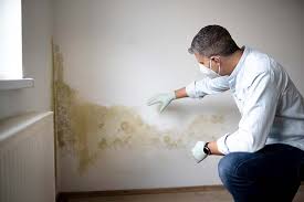 Best Residential Mold Inspection & Testing in Yorketown, NJ